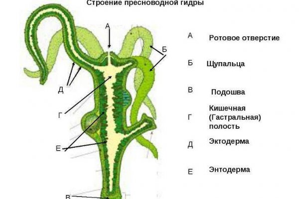 Кракен сайт как зайти