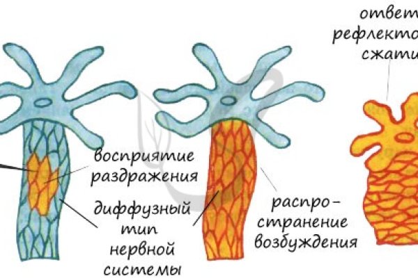 Kraken сайт даркнет