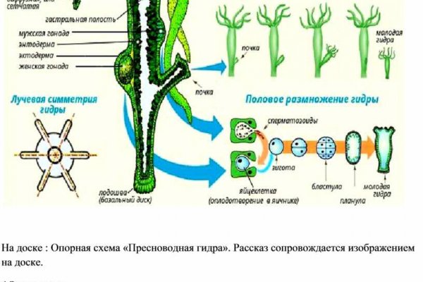 Каталог онион сайтов